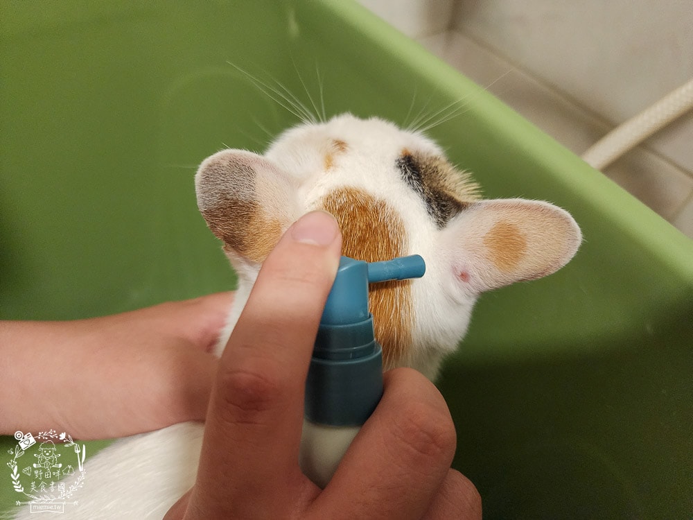 GoodMoFamily歸毛家族-寵物肌膚救星-舒敏保濕洗毛乳+護膚噴液+精萃營養霜|寵物肌膚問題的法寶