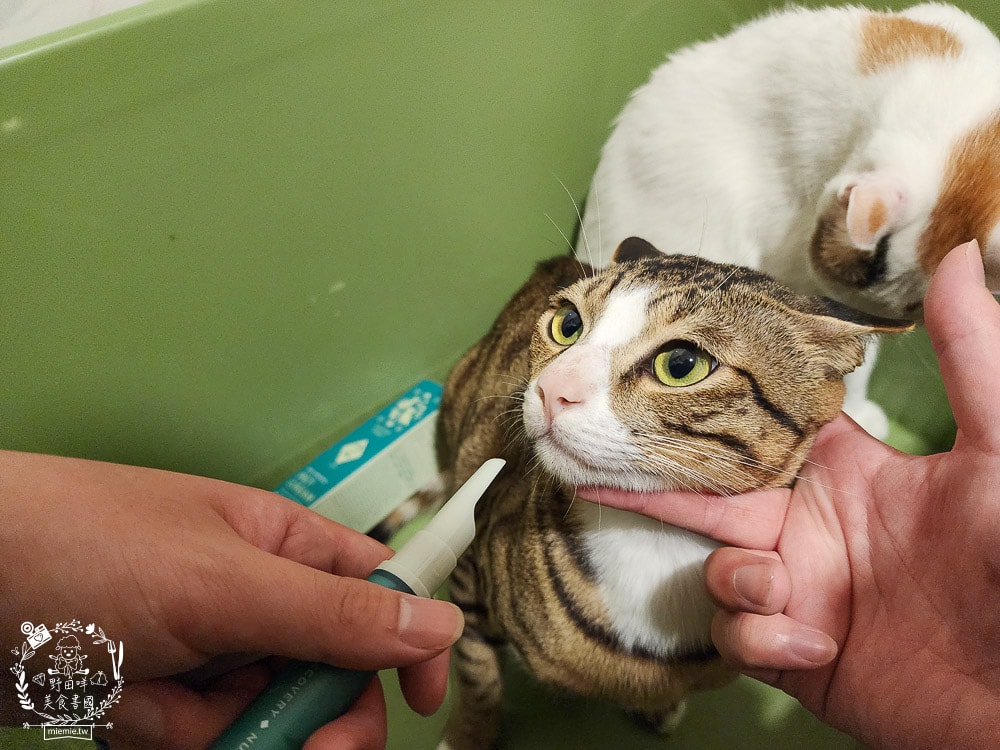 GoodMoFamily歸毛家族-寵物肌膚救星-舒敏保濕洗毛乳+護膚噴液+精萃營養霜|寵物肌膚問題的法寶