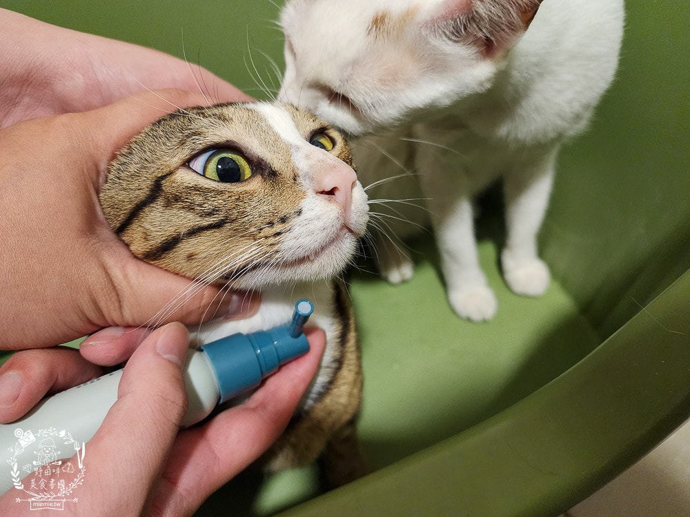 GoodMoFamily歸毛家族-寵物肌膚救星-舒敏保濕洗毛乳+護膚噴液+精萃營養霜|寵物肌膚問題的法寶