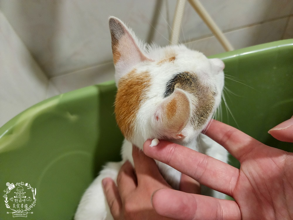 GoodMoFamily歸毛家族-寵物肌膚救星-舒敏保濕洗毛乳+護膚噴液+精萃營養霜|寵物肌膚問題的法寶