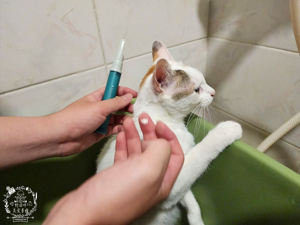 GoodMoFamily歸毛家族-寵物肌膚救星-舒敏保濕洗毛乳+護膚噴液+精萃營養霜|寵物肌膚問題的法寶