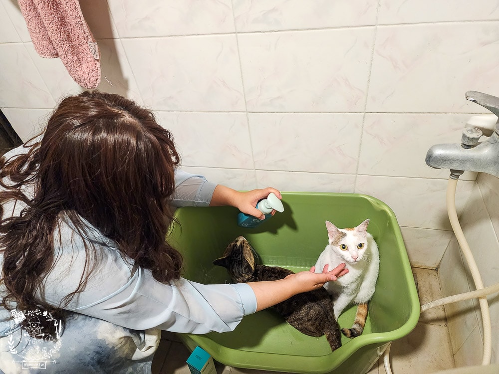 GoodMoFamily歸毛家族-寵物肌膚救星-舒敏保濕洗毛乳+護膚噴液+精萃營養霜|寵物肌膚問題的法寶