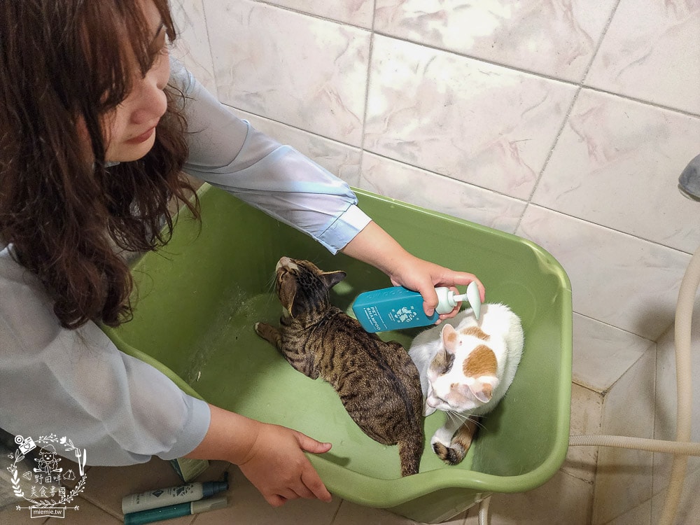 GoodMoFamily歸毛家族-寵物肌膚救星-舒敏保濕洗毛乳+護膚噴液+精萃營養霜|寵物肌膚問題的法寶