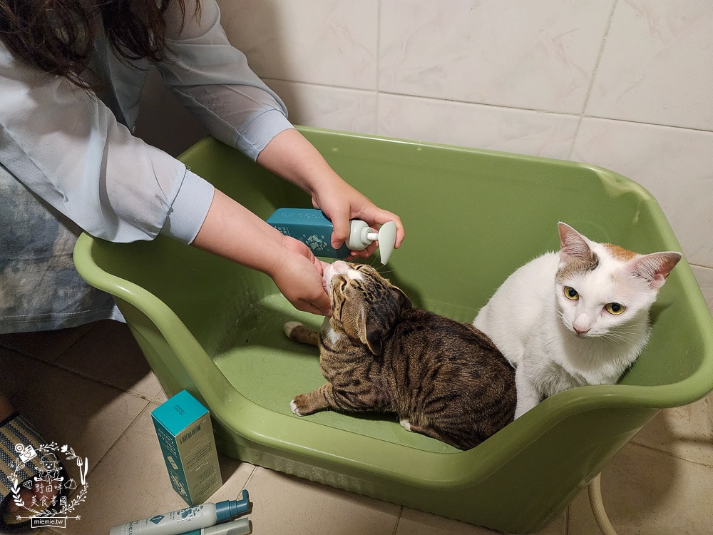 GoodMoFamily歸毛家族-寵物肌膚救星-舒敏保濕洗毛乳+護膚噴液+精萃營養霜|寵物肌膚問題的法寶