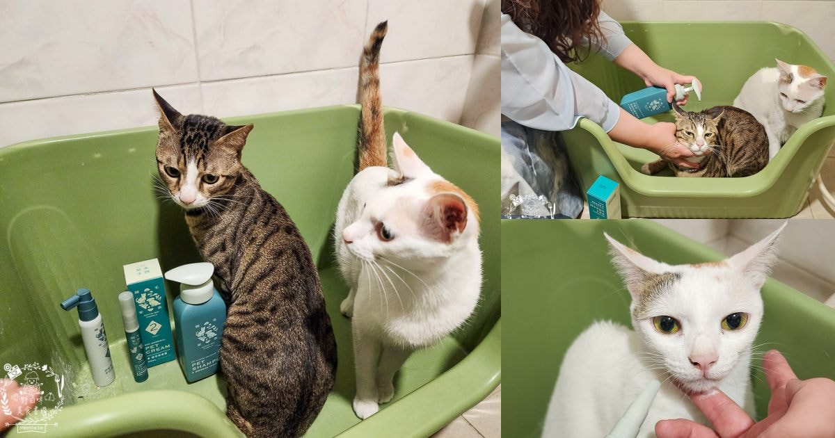 GoodMoFamily歸毛家族-寵物肌膚救星-舒敏保濕洗毛乳+護膚噴液+精萃營養霜|寵物肌膚問題的法寶