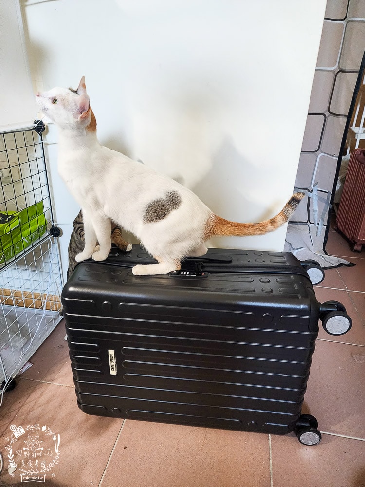 行李箱推薦[百夫長行李箱]超堅固、耐用的行李箱推薦！24吋行李箱推薦！