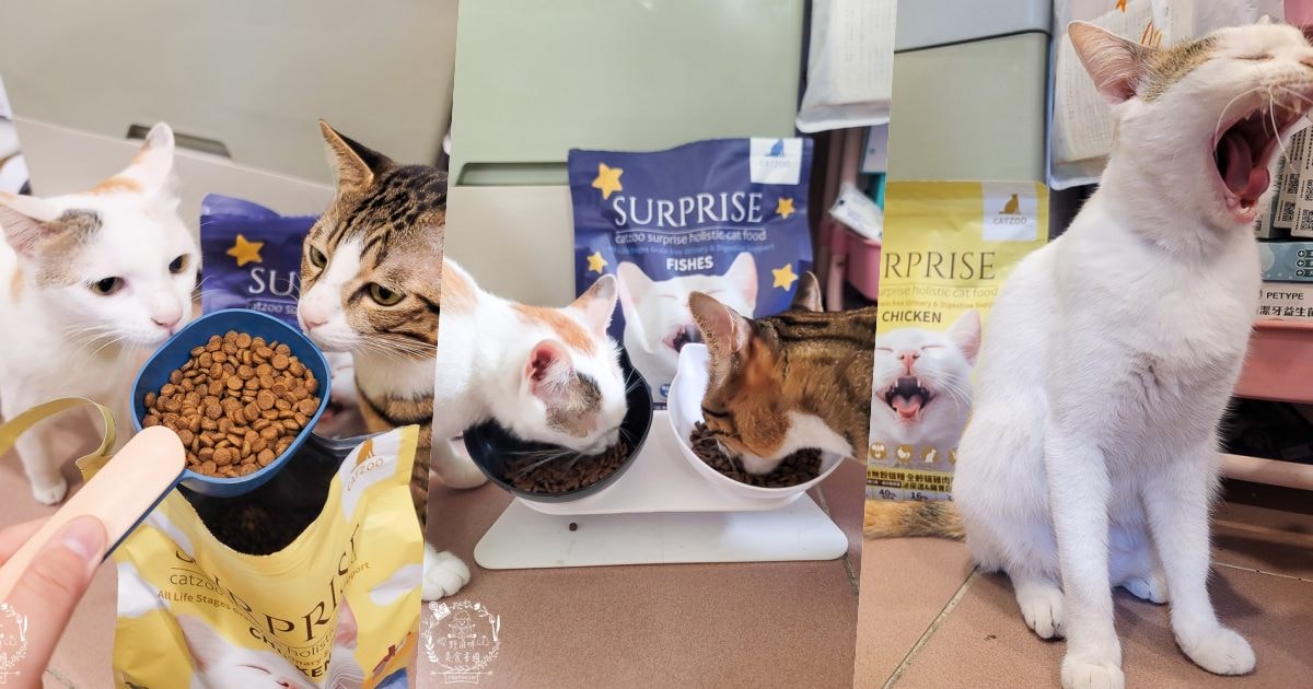 臭貓動物園傻派無穀貓飼料開箱推薦!高蛋白、低碳水、適口性超高的貓咪飼料! - 第1張圖 臭貓動物園傻派無穀貓飼料開箱推薦!高蛋白、低碳水、適口性超高的貓咪飼料!