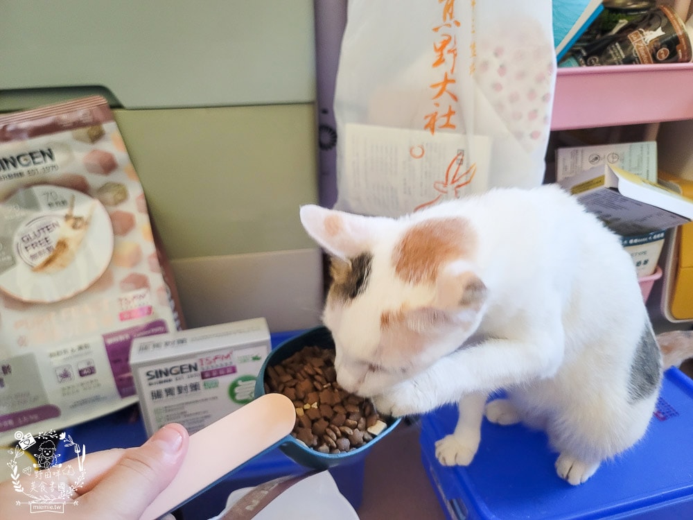 信元發育寶貓用鮮嫩三品與餉味舞食低敏無麩質凍乾(牛/鴨/雞)貓糧|適口性極佳的凍乾貓糧