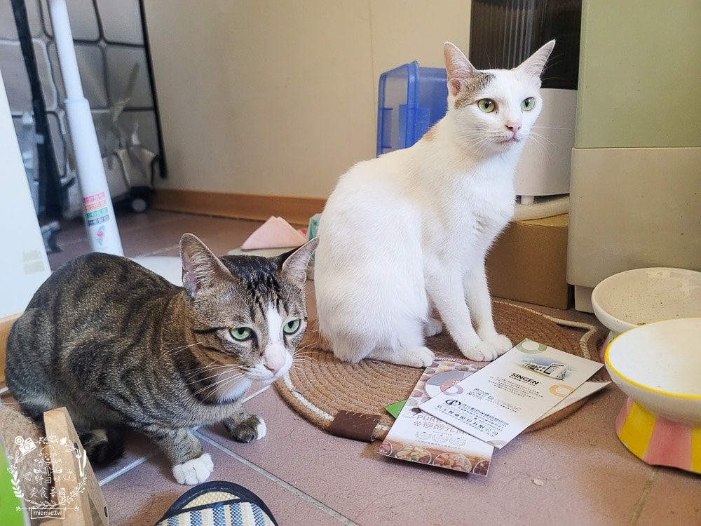 信元發育寶貓用鮮嫩三品與餉味舞食低敏無麩質凍乾(牛/鴨/雞)貓糧|適口性極佳的凍乾貓糧