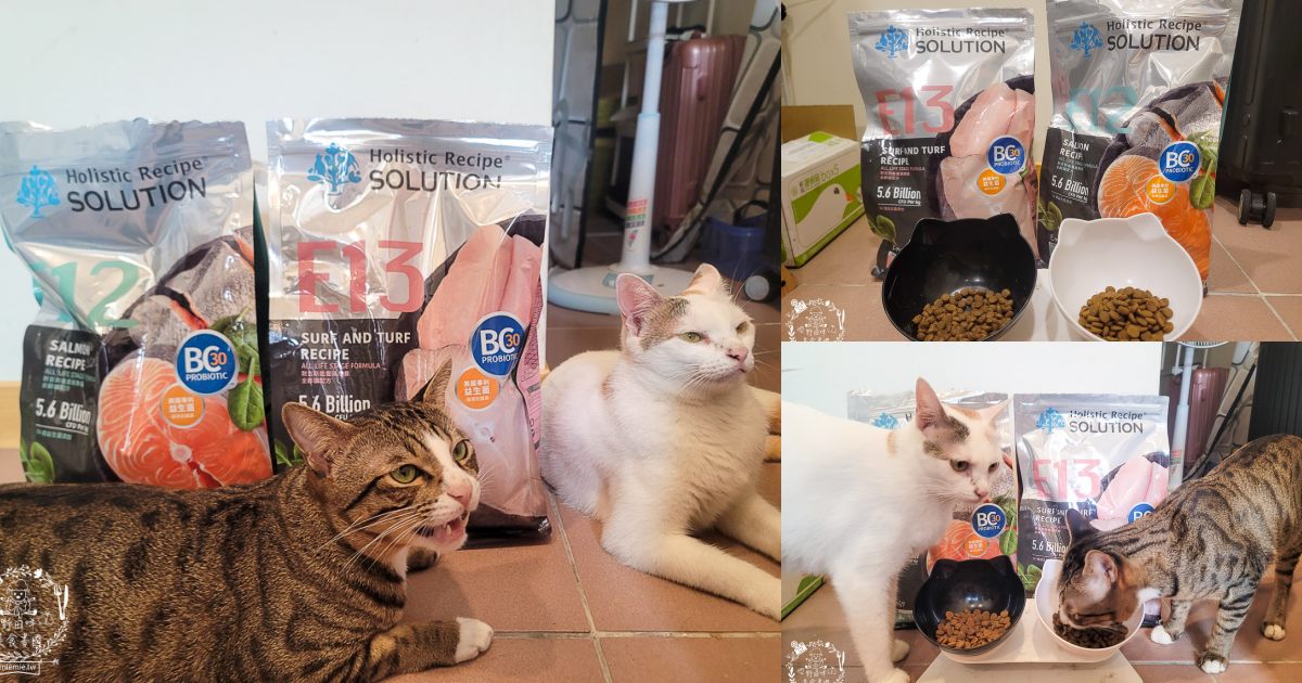 耐吉斯Energy系列益生菌貓飼料推薦！寵糧界的超級能量碗，還有BC30™ 美國專利益生菌守護腸道健康