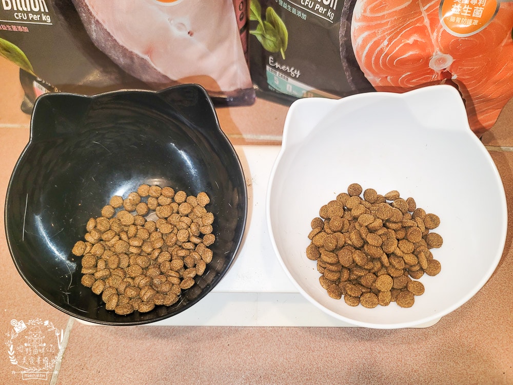 耐吉斯Energy系列益生菌貓飼料推薦！寵糧界的超級能量碗，還有BC30™ 美國專利益生菌守護腸道健康