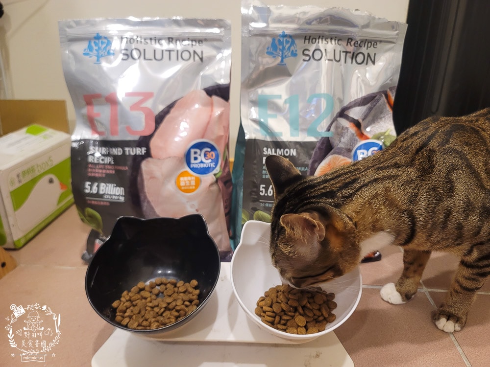耐吉斯Energy系列益生菌貓飼料推薦！寵糧界的超級能量碗，還有BC30™ 美國專利益生菌守護腸道健康