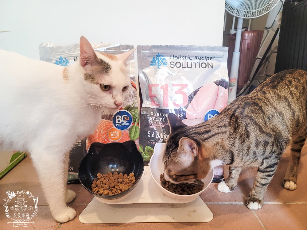 耐吉斯Energy系列益生菌貓飼料推薦！寵糧界的超級能量碗，還有BC30™ 美國專利益生菌守護腸道健康