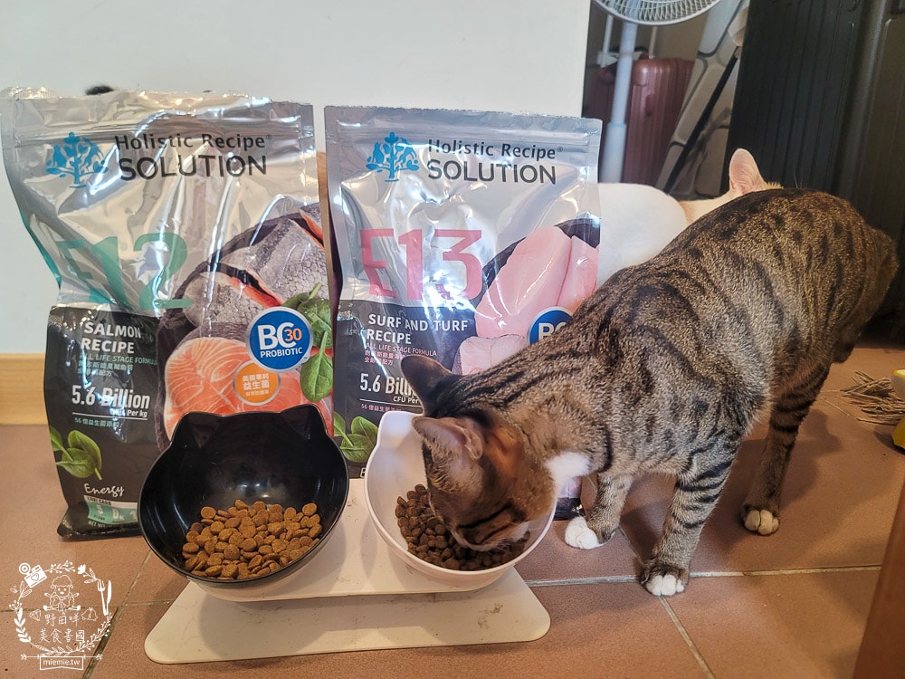 耐吉斯Energy系列益生菌貓飼料推薦！寵糧界的超級能量碗，還有BC30™ 美國專利益生菌守護腸道健康