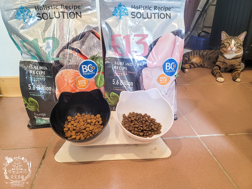 耐吉斯Energy系列益生菌貓飼料推薦！寵糧界的超級能量碗，還有BC30™ 美國專利益生菌守護腸道健康