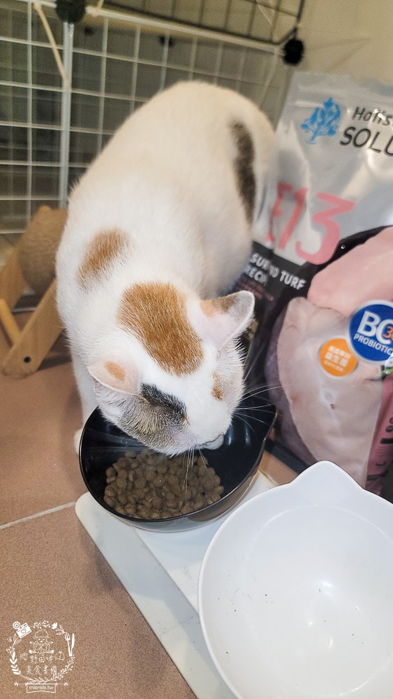 耐吉斯Energy系列益生菌貓飼料推薦！寵糧界的超級能量碗，還有BC30™ 美國專利益生菌守護腸道健康