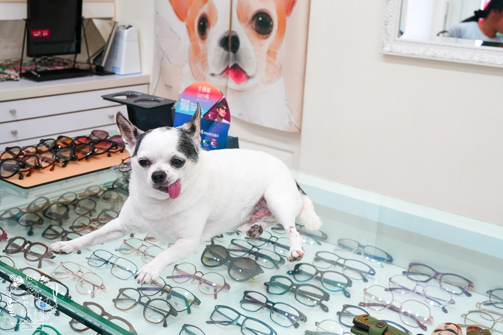 河堤商圈美食景點與社區隱藏小店推薦|平日也大客滿的餐館|超平價寬敞的兒童遊樂空間|超多款滑步車可以挑選|