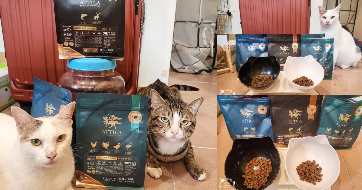貓飼料推薦[ATTILA阿提拉貓飼料]高蛋白低碳水的無穀貓飼料，添加七種益生菌與天然超級食材！