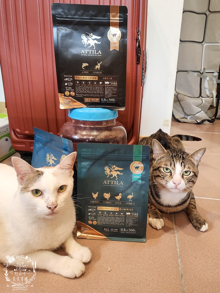 貓飼料推薦[ATTILA阿提拉貓飼料]高蛋白低碳水的無穀貓飼料，添加七種益生菌與天然超級食材！