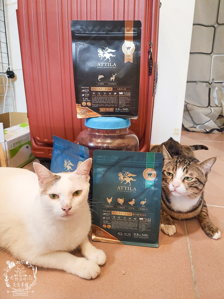 貓飼料推薦[ATTILA阿提拉貓飼料]高蛋白低碳水的無穀貓飼料，添加七種益生菌與天然超級食材！