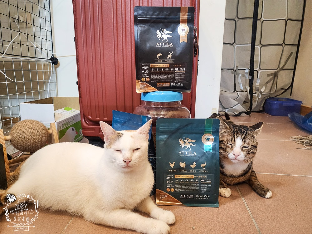 貓飼料推薦[ATTILA阿提拉貓飼料]高蛋白低碳水的無穀貓飼料，添加七種益生菌與天然超級食材！