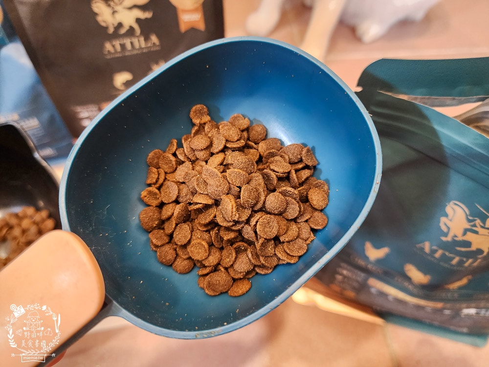 貓飼料推薦[ATTILA阿提拉貓飼料]高蛋白低碳水的無穀貓飼料，添加七種益生菌與天然超級食材！