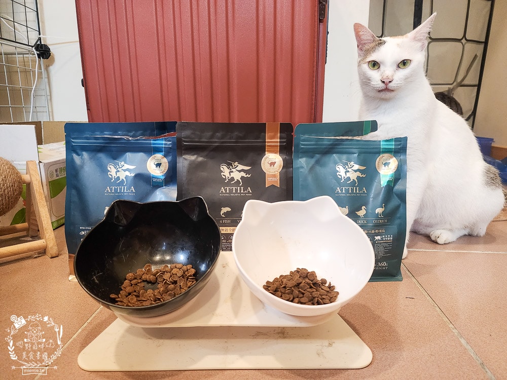 貓飼料推薦[ATTILA阿提拉貓飼料]高蛋白低碳水的無穀貓飼料，添加七種益生菌與天然超級食材！