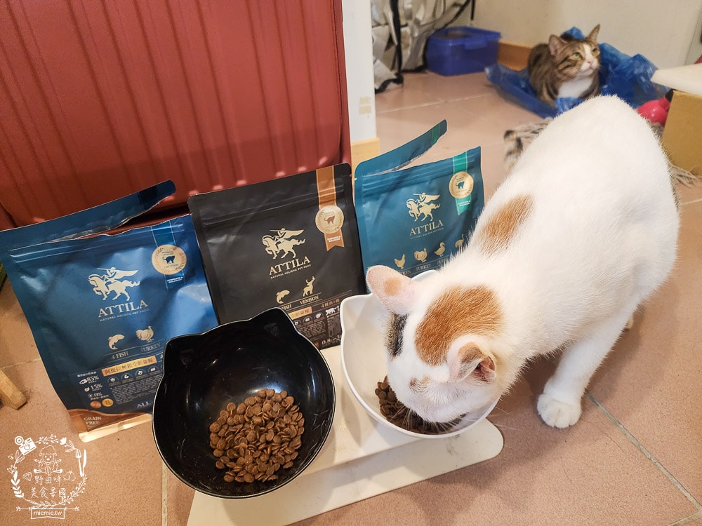 貓飼料推薦[ATTILA阿提拉貓飼料]高蛋白低碳水的無穀貓飼料，添加七種益生菌與天然超級食材！