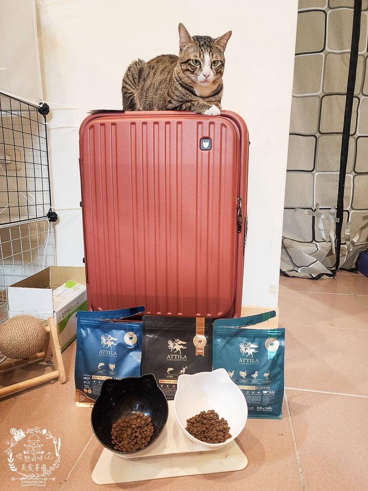 貓飼料推薦[ATTILA阿提拉貓飼料]高蛋白低碳水的無穀貓飼料，添加七種益生菌與天然超級食材！
