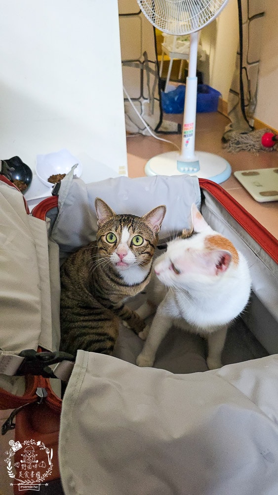 SWISS STYLE BERMAS TOP 2.0升級版上掀前開式煞車行李箱|超耐用又好拉拖得上掀式行李箱推薦！