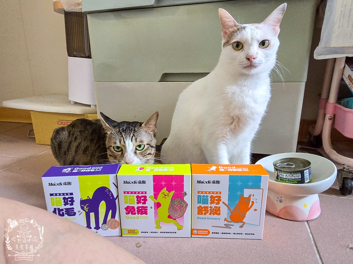 貓免疫力保健粉推薦|喵趣貓營養品開箱實測,陪主子維持健康活力的日常守護力! - 第1張圖 貓免疫力保健粉推薦|喵趣貓營養品開箱實測,陪主子維持健康活力的日常守護力!