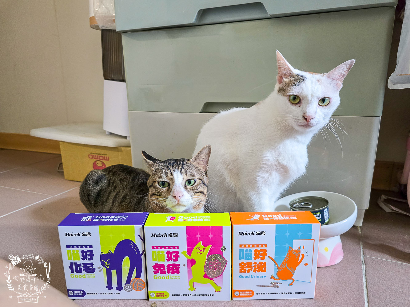 貓免疫力保健粉推薦|喵趣貓營養品開箱實測,陪主子維持健康活力的日常守護力! - 第5張圖 貓免疫力保健粉推薦|喵趣貓營養品開箱實測,陪主子維持健康活力的日常守護力!
