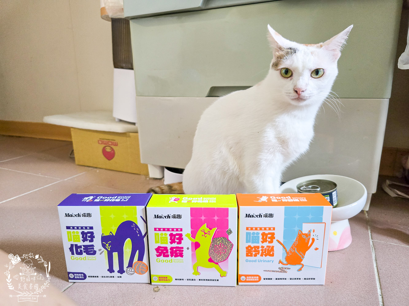 貓免疫力保健粉推薦|喵趣貓營養品開箱實測,陪主子維持健康活力的日常守護力! - 第6張圖 貓免疫力保健粉推薦|喵趣貓營養品開箱實測,陪主子維持健康活力的日常守護力!