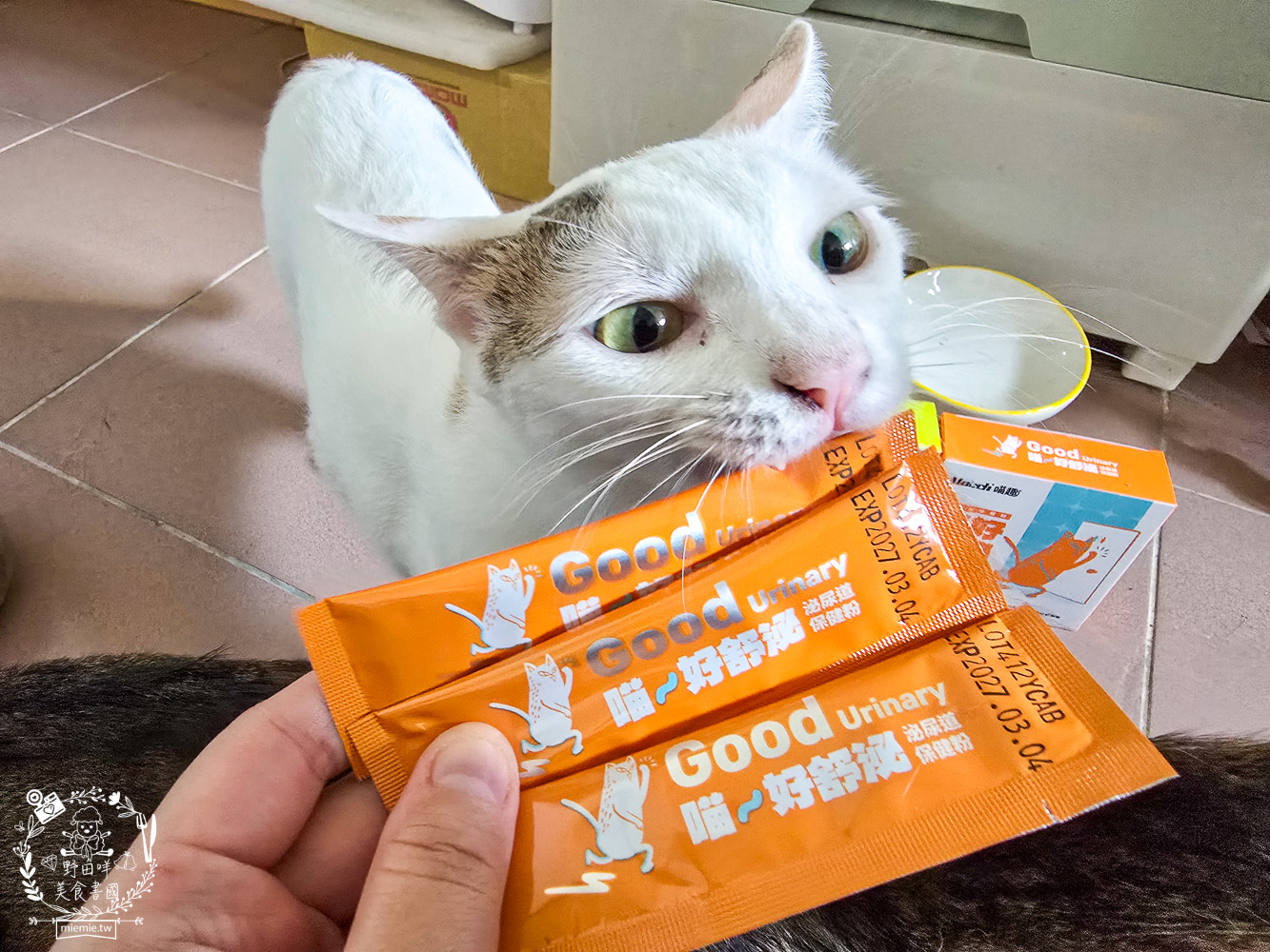 貓免疫力保健粉推薦|喵趣貓營養品開箱實測,陪主子維持健康活力的日常守護力! - 第7張圖 貓免疫力保健粉推薦|喵趣貓營養品開箱實測,陪主子維持健康活力的日常守護力!