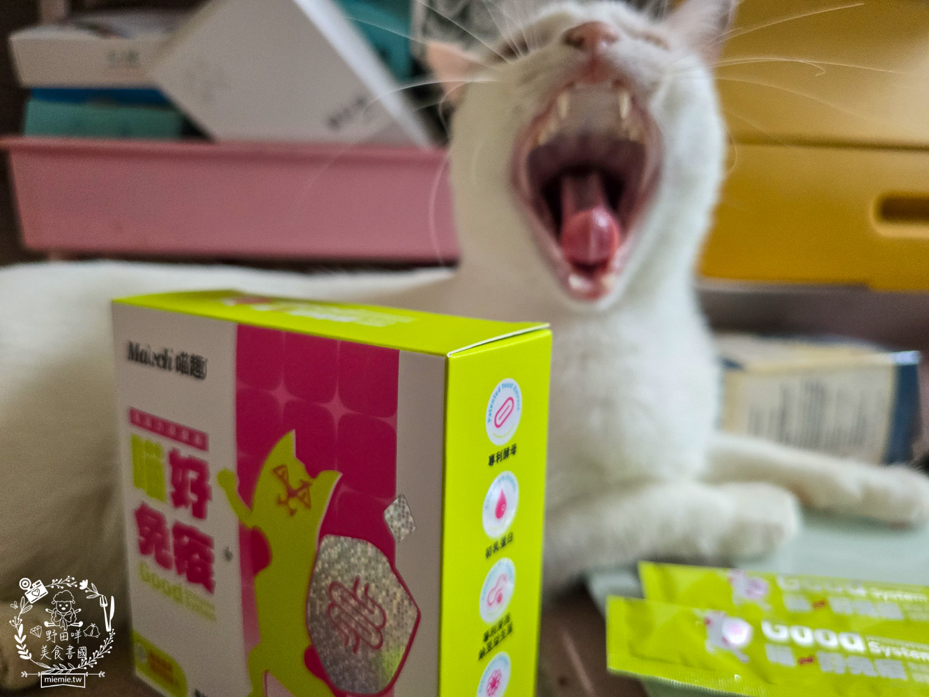 貓免疫力保健粉推薦|喵趣貓營養品開箱實測,陪主子維持健康活力的日常守護力! - 第9張圖 貓免疫力保健粉推薦|喵趣貓營養品開箱實測,陪主子維持健康活力的日常守護力!