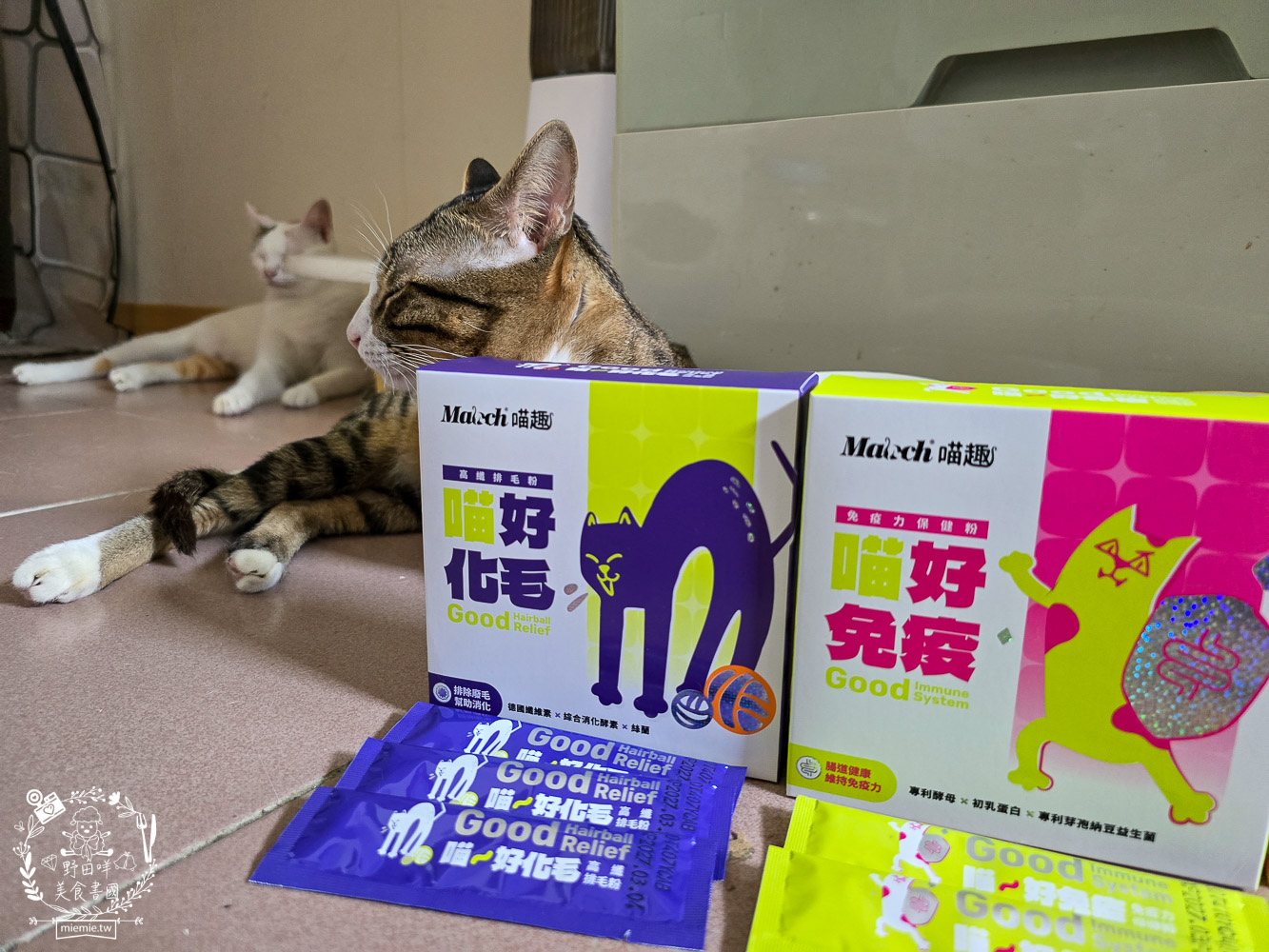 貓免疫力保健粉推薦|喵趣貓營養品開箱實測,陪主子維持健康活力的日常守護力! - 第10張圖 貓免疫力保健粉推薦|喵趣貓營養品開箱實測,陪主子維持健康活力的日常守護力!