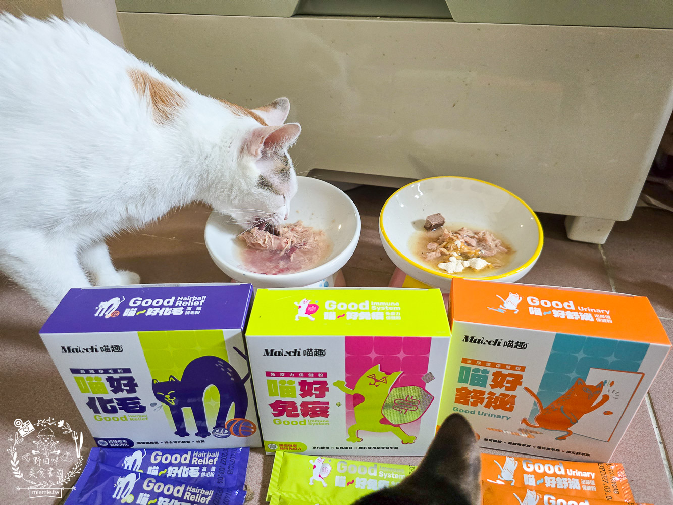 貓免疫力保健粉推薦|喵趣貓營養品開箱實測,陪主子維持健康活力的日常守護力! - 第18張圖 貓免疫力保健粉推薦|喵趣貓營養品開箱實測,陪主子維持健康活力的日常守護力!