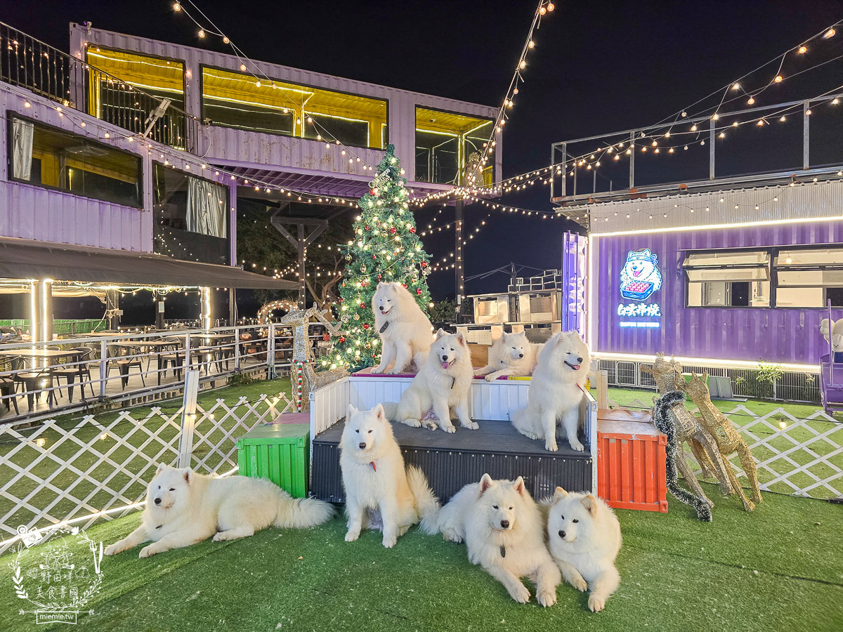 2026高雄旅遊推薦|小港大坪頂「微笑白雲」全攻略!薩摩耶、布偶貓陪你喝咖啡|看飛機夕陽的療癒天堂! - 第5張圖 2026高雄旅遊推薦|小港大坪頂「微笑白雲」全攻略!薩摩耶、布偶貓陪你喝咖啡|看飛機夕陽的療癒天堂!