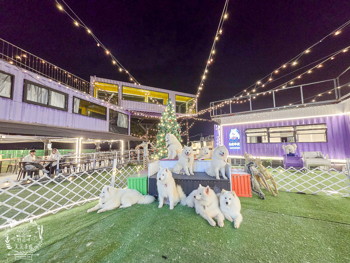 2026高雄旅遊推薦|小港大坪頂「微笑白雲」全攻略!薩摩耶、布偶貓陪你喝咖啡|看飛機夕陽的療癒天堂! - 第17張圖 2026高雄旅遊推薦|小港大坪頂「微笑白雲」全攻略!薩摩耶、布偶貓陪你喝咖啡|看飛機夕陽的療癒天堂!