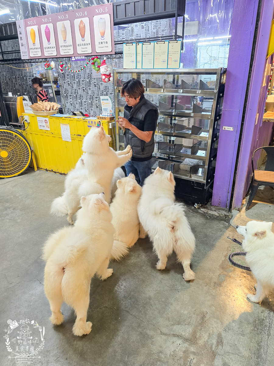 2026高雄旅遊推薦|小港大坪頂「微笑白雲」全攻略!薩摩耶、布偶貓陪你喝咖啡|看飛機夕陽的療癒天堂! - 第18張圖 2026高雄旅遊推薦|小港大坪頂「微笑白雲」全攻略!薩摩耶、布偶貓陪你喝咖啡|看飛機夕陽的療癒天堂!