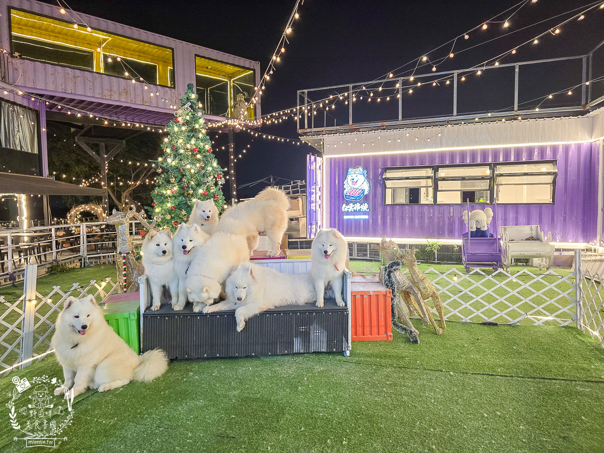 2026高雄旅遊推薦|小港大坪頂「微笑白雲」全攻略!薩摩耶、布偶貓陪你喝咖啡|看飛機夕陽的療癒天堂! - 第24張圖 2026高雄旅遊推薦|小港大坪頂「微笑白雲」全攻略!薩摩耶、布偶貓陪你喝咖啡|看飛機夕陽的療癒天堂!