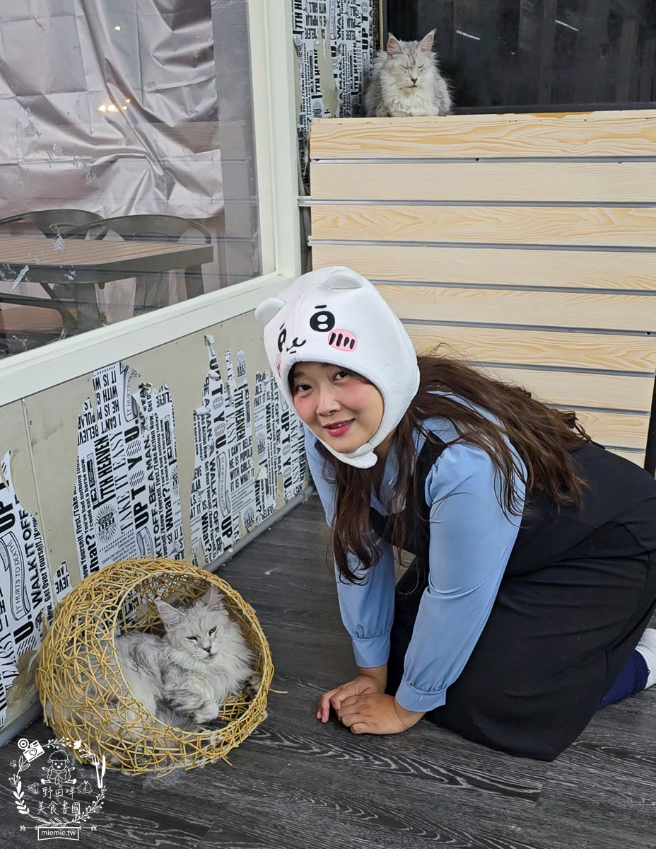 2026高雄旅遊推薦｜小港大坪頂「微笑白雲」全攻略！薩摩耶、布偶貓陪你喝咖啡｜看飛機夕陽的療癒天堂！