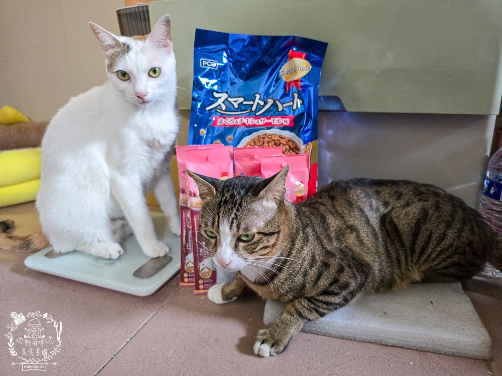 慧心貓糧評價挑食貓也瘋狂！慧心和風飼料「鮪魚雞肉鮭魚」與超人氣「扇貝肉泥」開箱推薦｜SmartHeart 貓飼料