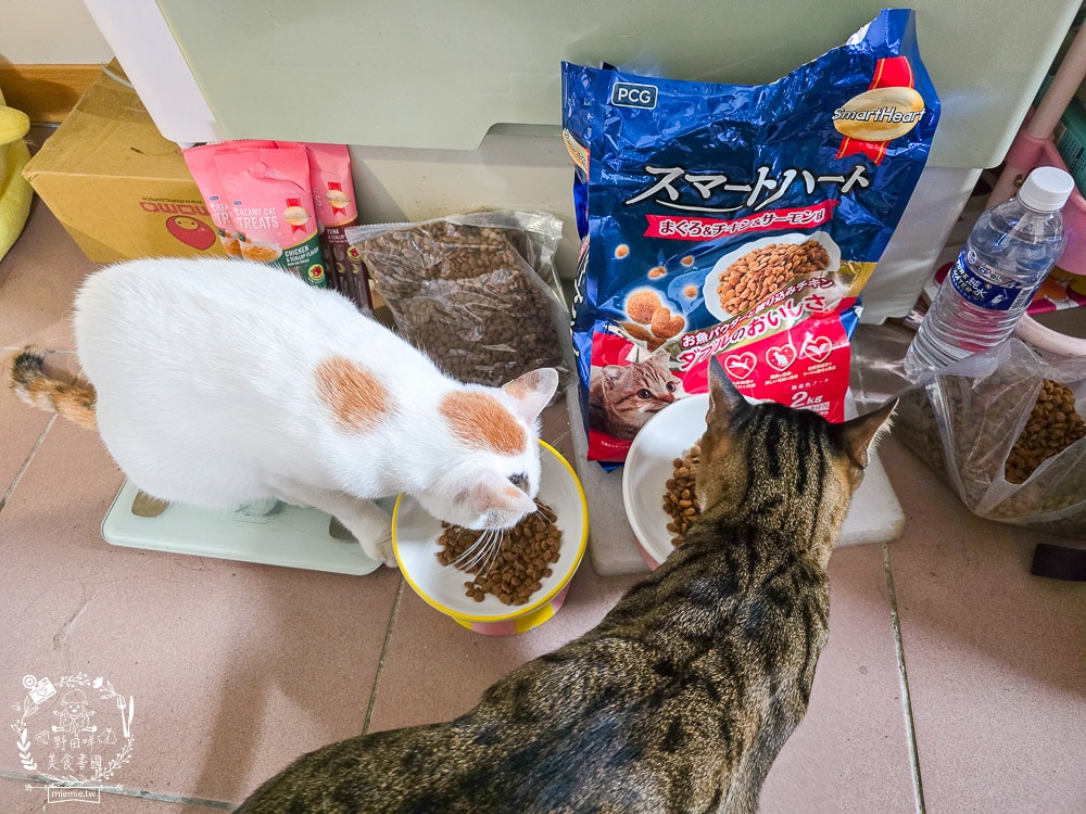 慧心貓糧評價挑食貓也瘋狂!慧心和風飼料「鮪魚雞肉鮭魚」與超人氣「扇貝肉泥」開箱推薦|SmartHeart 貓飼料 - 第11張圖 慧心貓糧評價挑食貓也瘋狂!慧心和風飼料「鮪魚雞肉鮭魚」與超人氣「扇貝肉泥」開箱推薦|SmartHeart 貓飼料