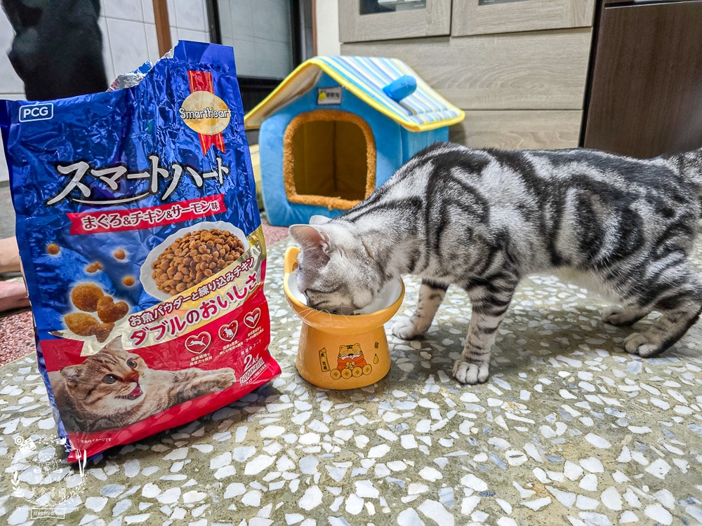 慧心貓糧評價挑食貓也瘋狂!慧心和風飼料「鮪魚雞肉鮭魚」與超人氣「扇貝肉泥」開箱推薦|SmartHeart 貓飼料 - 第13張圖 慧心貓糧評價挑食貓也瘋狂!慧心和風飼料「鮪魚雞肉鮭魚」與超人氣「扇貝肉泥」開箱推薦|SmartHeart 貓飼料