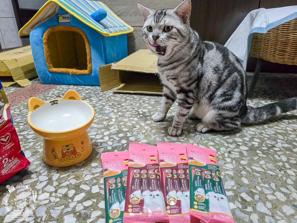 慧心貓糧評價挑食貓也瘋狂!慧心和風飼料「鮪魚雞肉鮭魚」與超人氣「扇貝肉泥」開箱推薦|SmartHeart 貓飼料 - 第17張圖 慧心貓糧評價挑食貓也瘋狂!慧心和風飼料「鮪魚雞肉鮭魚」與超人氣「扇貝肉泥」開箱推薦|SmartHeart 貓飼料