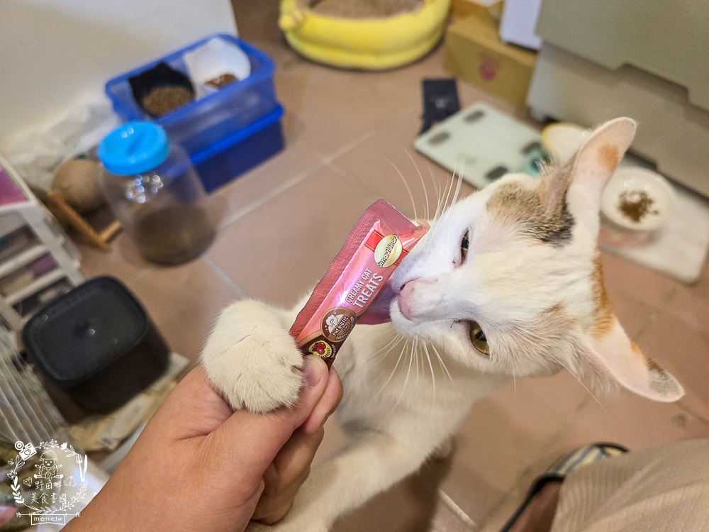 慧心貓糧評價挑食貓也瘋狂!慧心和風飼料「鮪魚雞肉鮭魚」與超人氣「扇貝肉泥」開箱推薦|SmartHeart 貓飼料 - 第23張圖 慧心貓糧評價挑食貓也瘋狂!慧心和風飼料「鮪魚雞肉鮭魚」與超人氣「扇貝肉泥」開箱推薦|SmartHeart 貓飼料