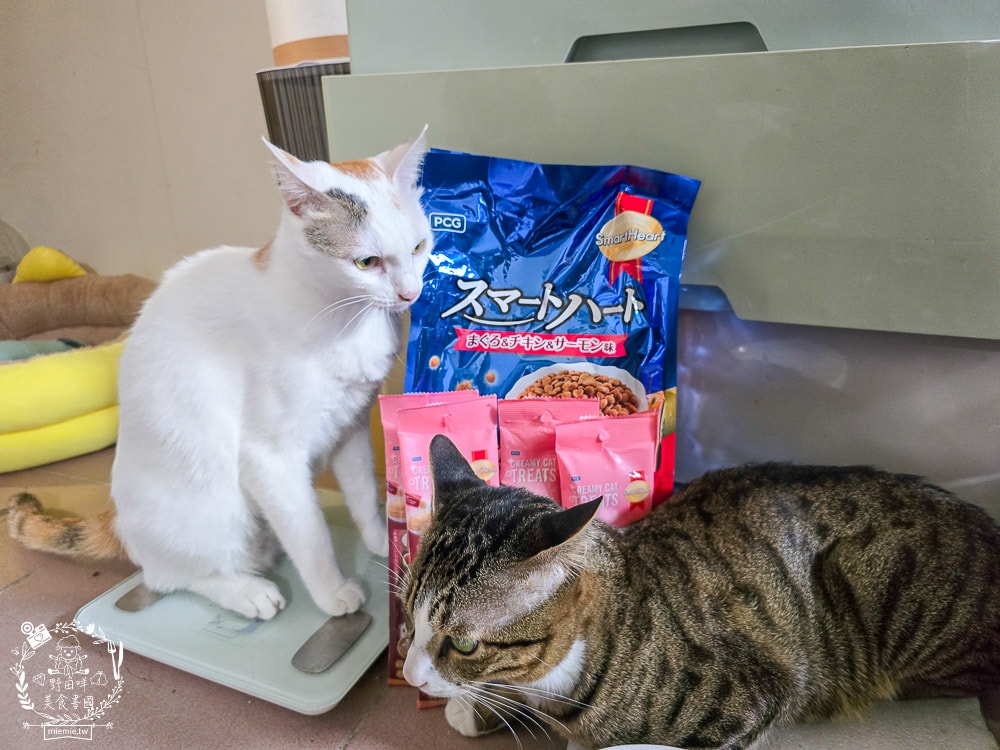 慧心貓糧評價挑食貓也瘋狂!慧心和風飼料「鮪魚雞肉鮭魚」與超人氣「扇貝肉泥」開箱推薦|SmartHeart 貓飼料 - 第3張圖 慧心貓糧評價挑食貓也瘋狂!慧心和風飼料「鮪魚雞肉鮭魚」與超人氣「扇貝肉泥」開箱推薦|SmartHeart 貓飼料