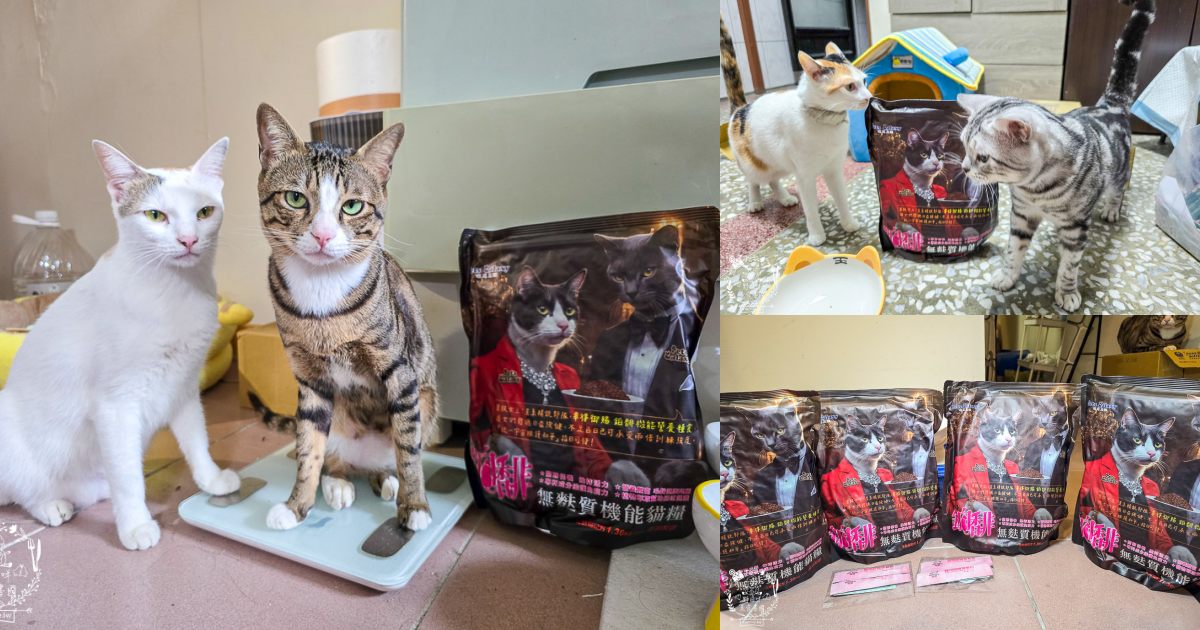 【鉑馡貓糧評價】珮慈星系 Pets Galaxy 開箱實測!全齡無麩質貓糧分享,終於找到低敏的主食 - 第1張圖 【鉑馡貓糧評價】珮慈星系 Pets Galaxy 開箱實測!全齡無麩質貓糧分享,終於找到低敏的主食