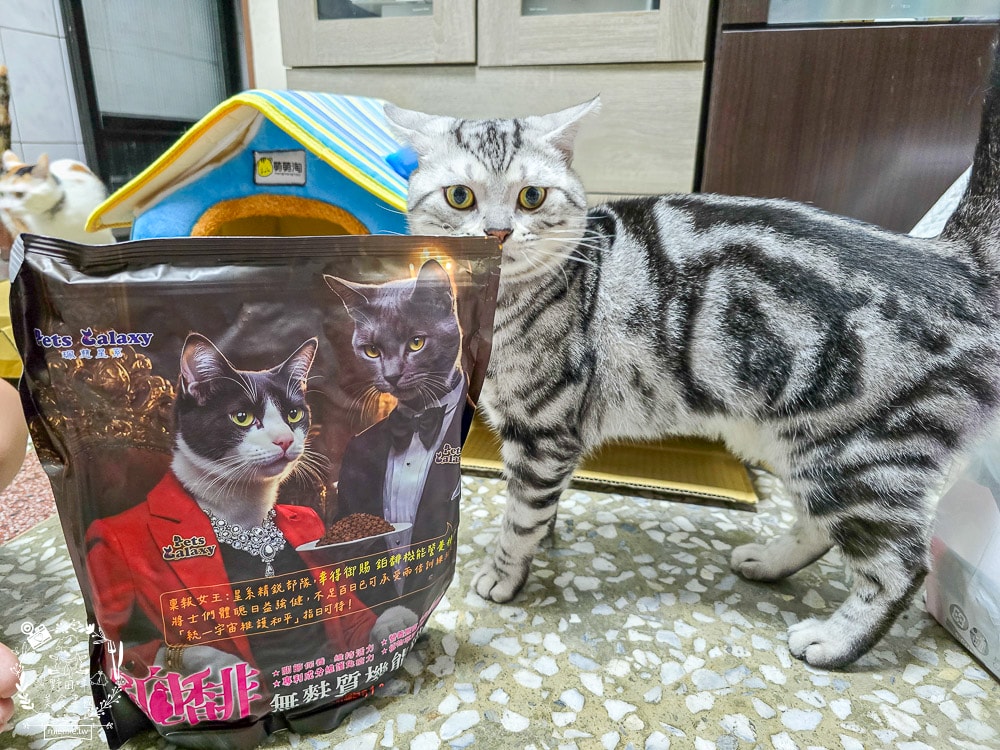 【鉑馡貓糧評價】珮慈星系 Pets Galaxy 開箱實測!全齡無麩質貓糧分享,終於找到低敏的主食 - 第13張圖 【鉑馡貓糧評價】珮慈星系 Pets Galaxy 開箱實測!全齡無麩質貓糧分享,終於找到低敏的主食